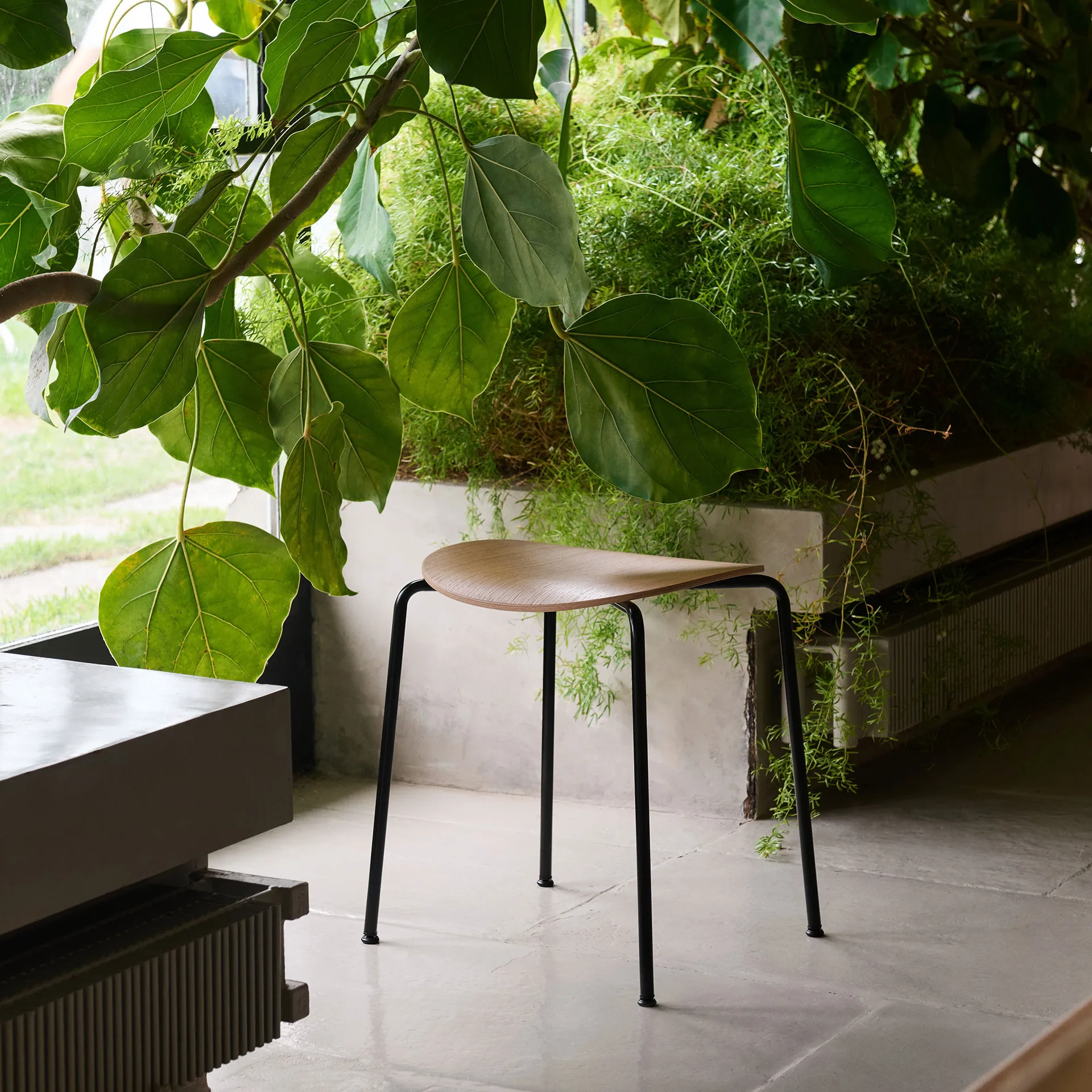 Taburete Pavilion AV36, Black-lacquered oak &Tradition