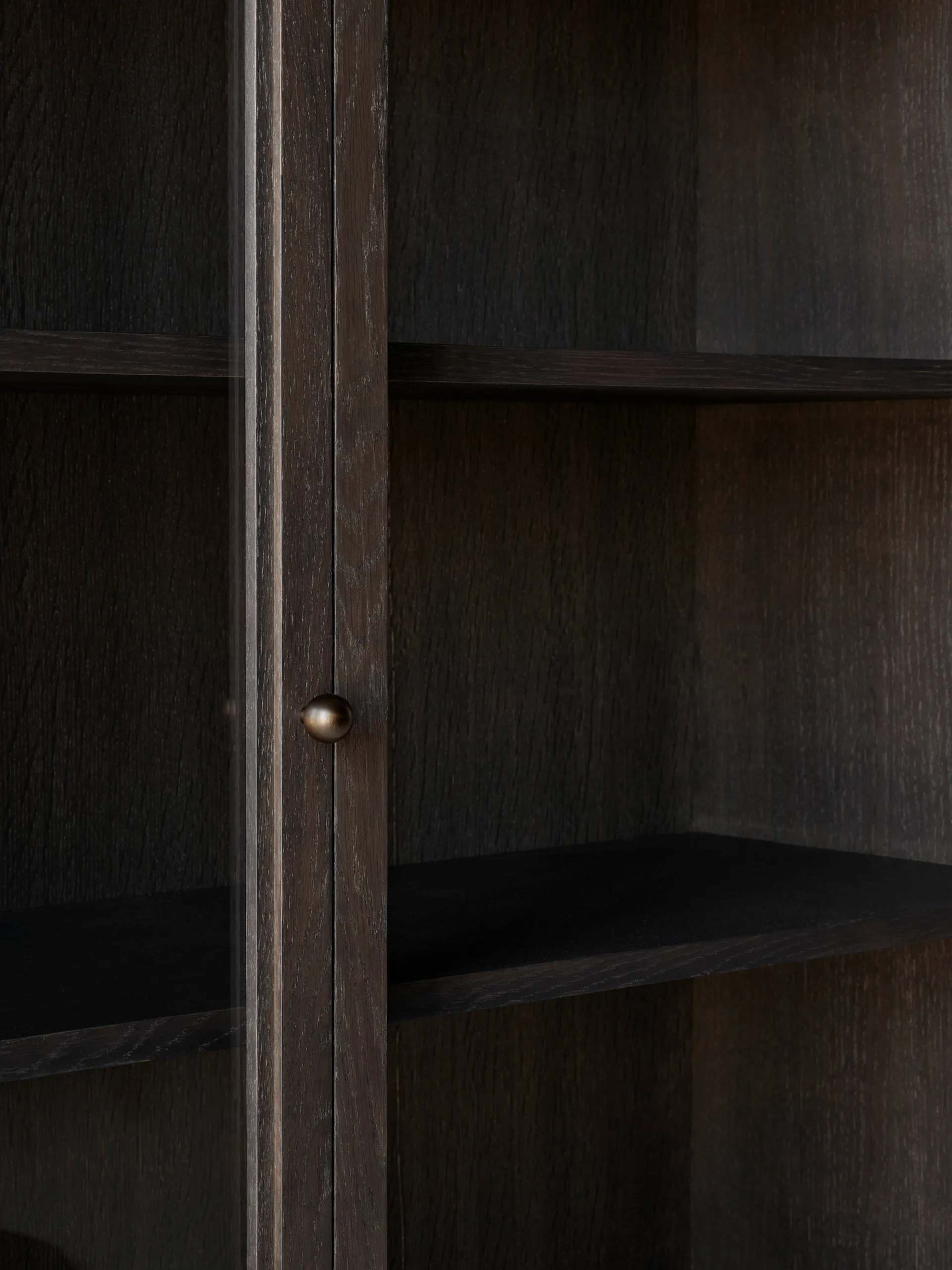 Vitrina Trace SC88 120x192x40 cm, Dark stained oak &Tradition