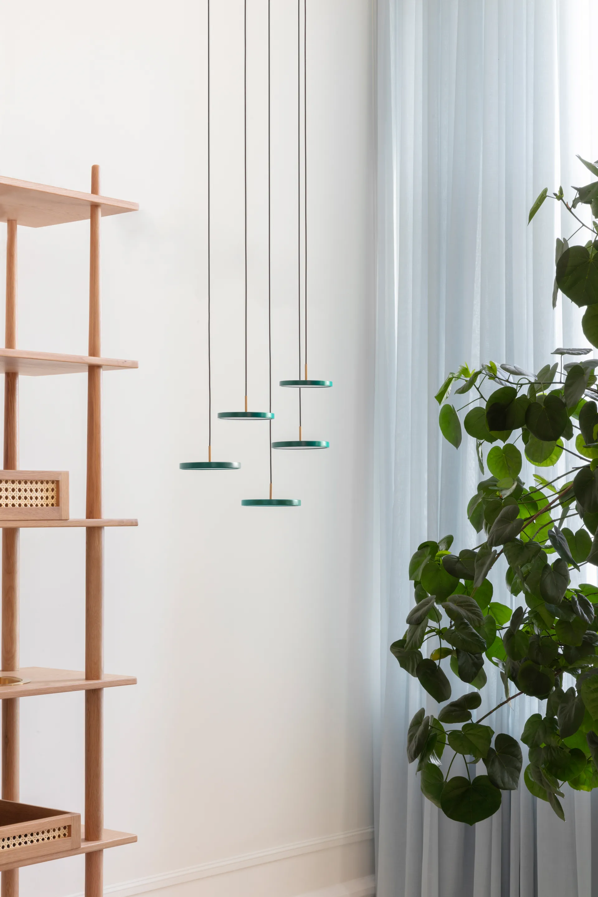 Lámpara de techo Asteria Micro, Forest Green Umage