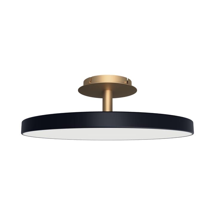 Plafón Asteria Up large, Anthracite Umage