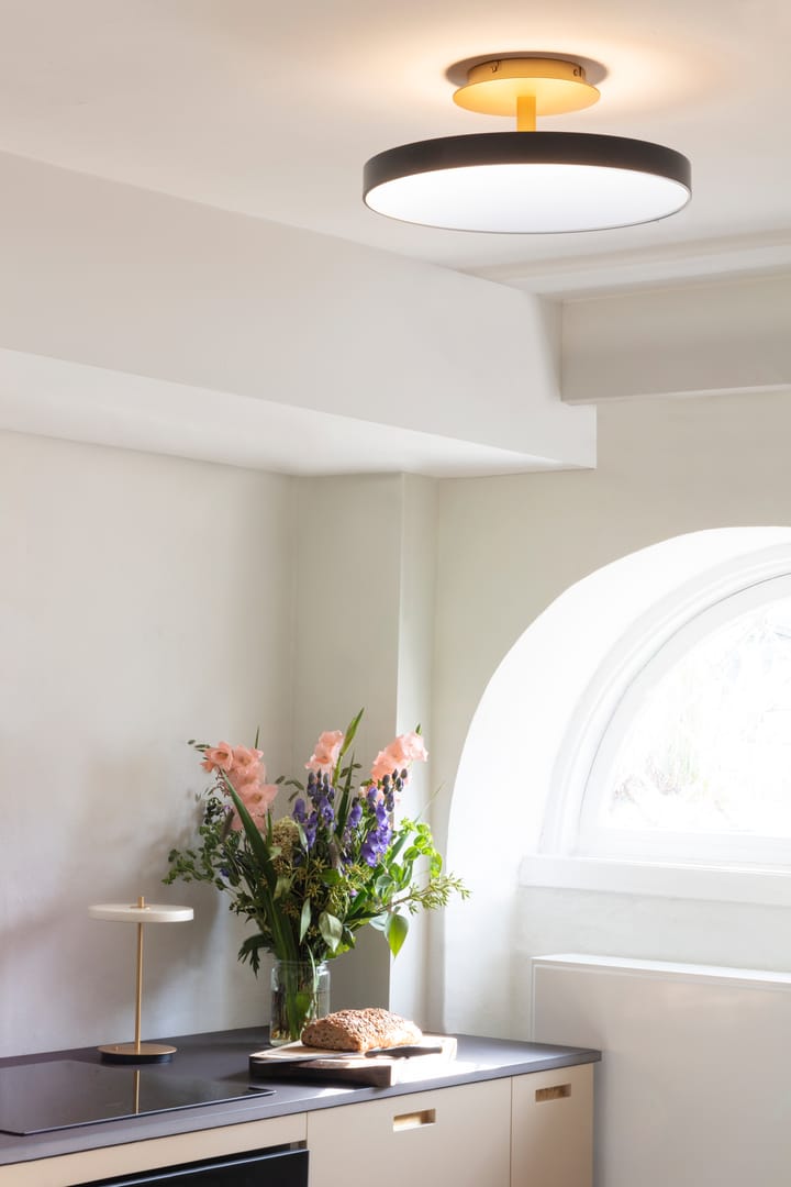 Plafón Asteria Up mediano, Anthracite grey Umage
