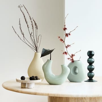 Candelabro Pollini - Beetle - URBAN NATURE CULTURE
