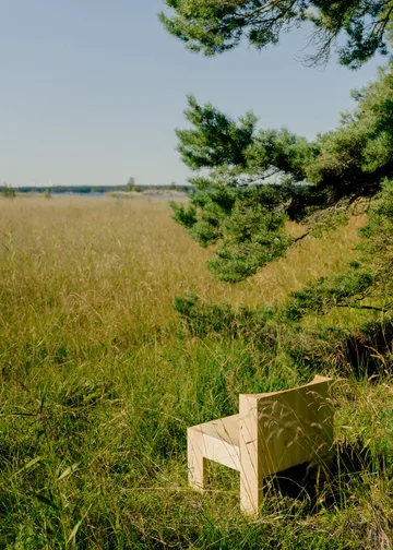 Silla lounge 005 Lounge Chair - Pino aceitado y encerado mate - Vaarnii