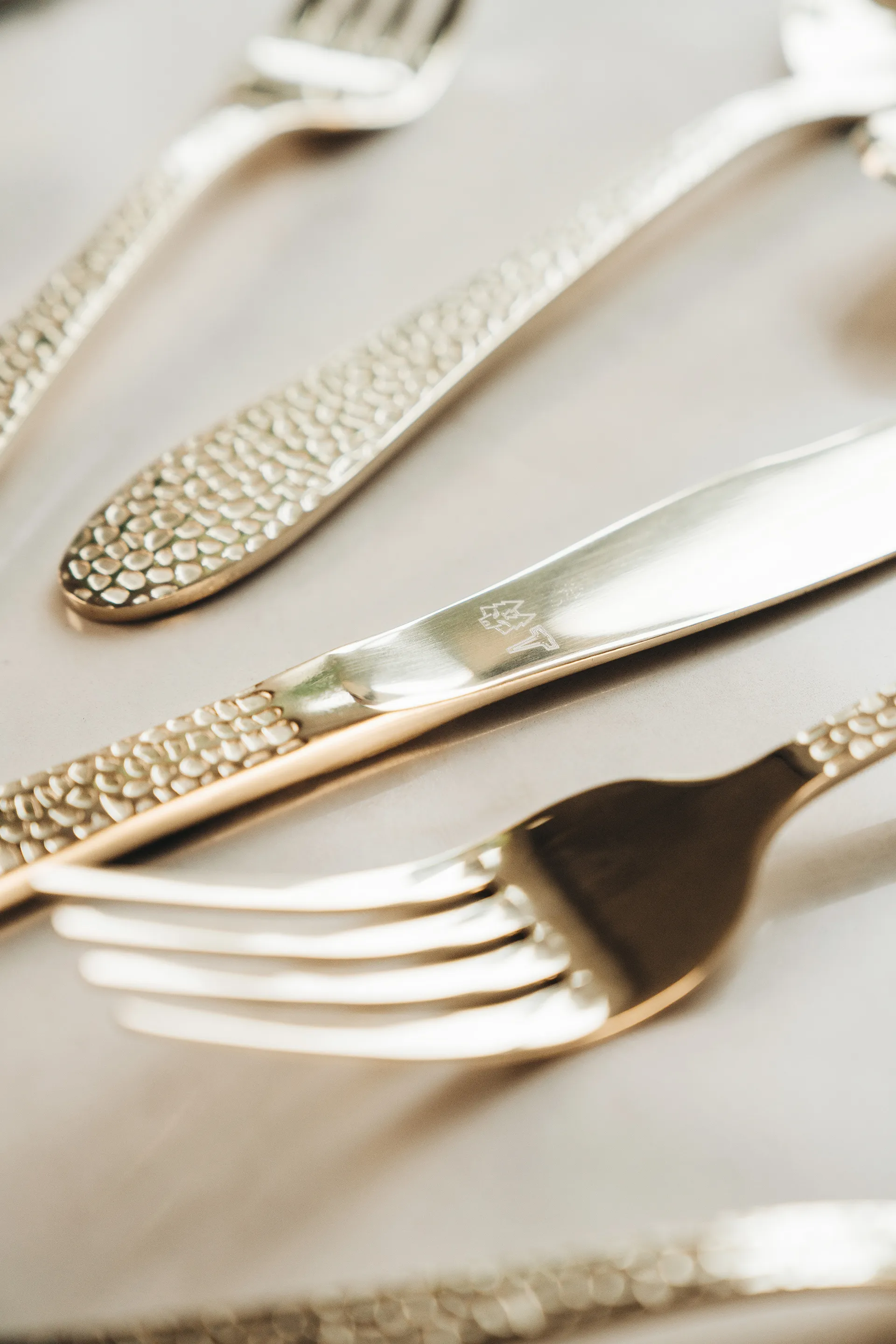 Cubertería Vargen & Thor 16 piezas, Aura, cava Vargen & Thor