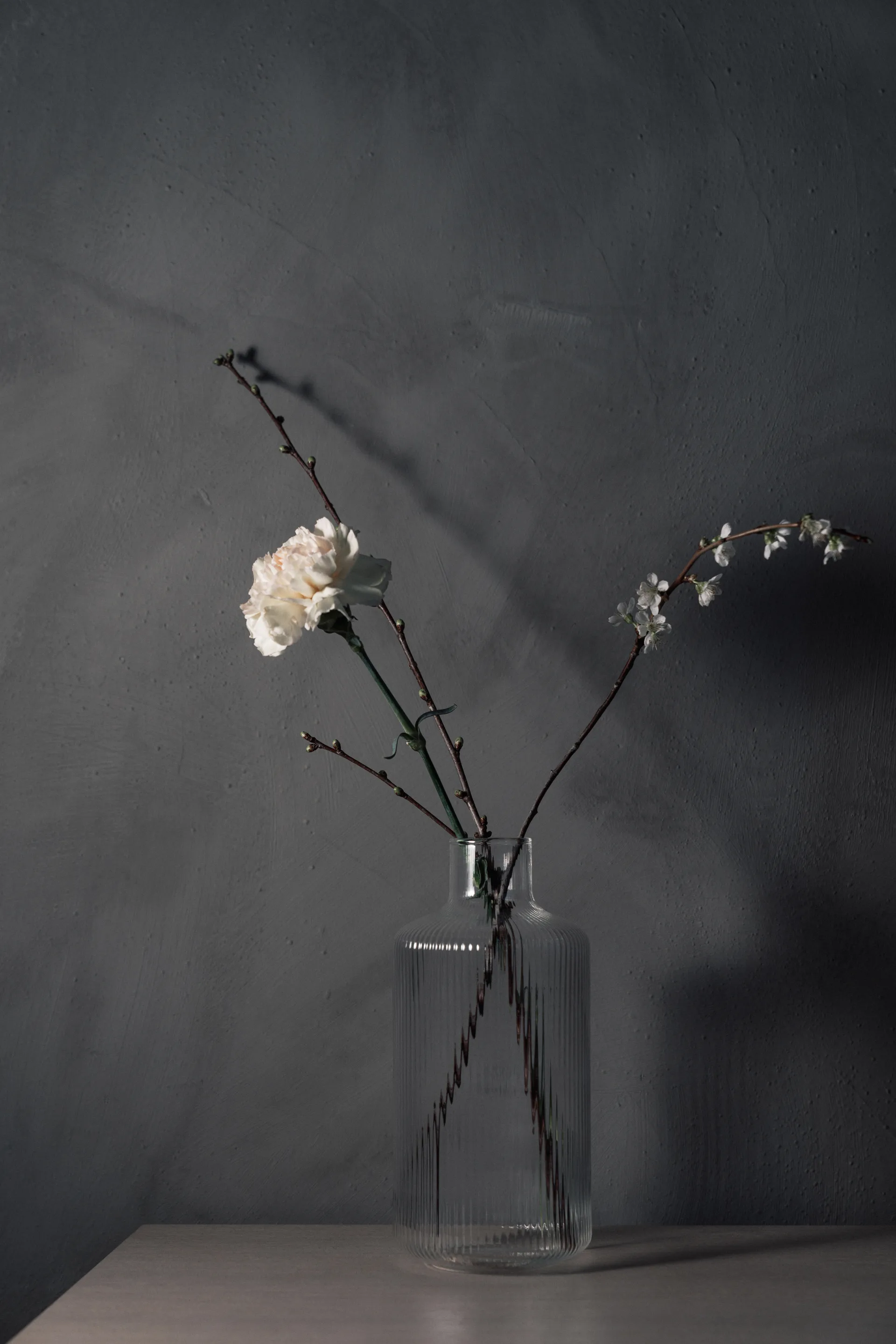 Jarra YKON 1,5 L, Transparent Vargen & Thor