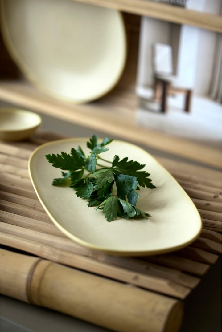Bandeja para servir Shoku 18x34 cm, Beige Villa Collection