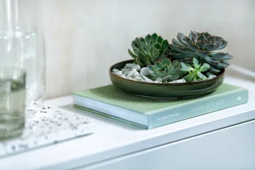 Plato hondo Crafted Breeze Ø21,5 cm - Green - Villeroy & Boch