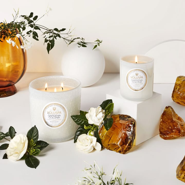 Vela perfumada Classic Maison Blanc 60 horas, Gardenia Colonia Voluspa