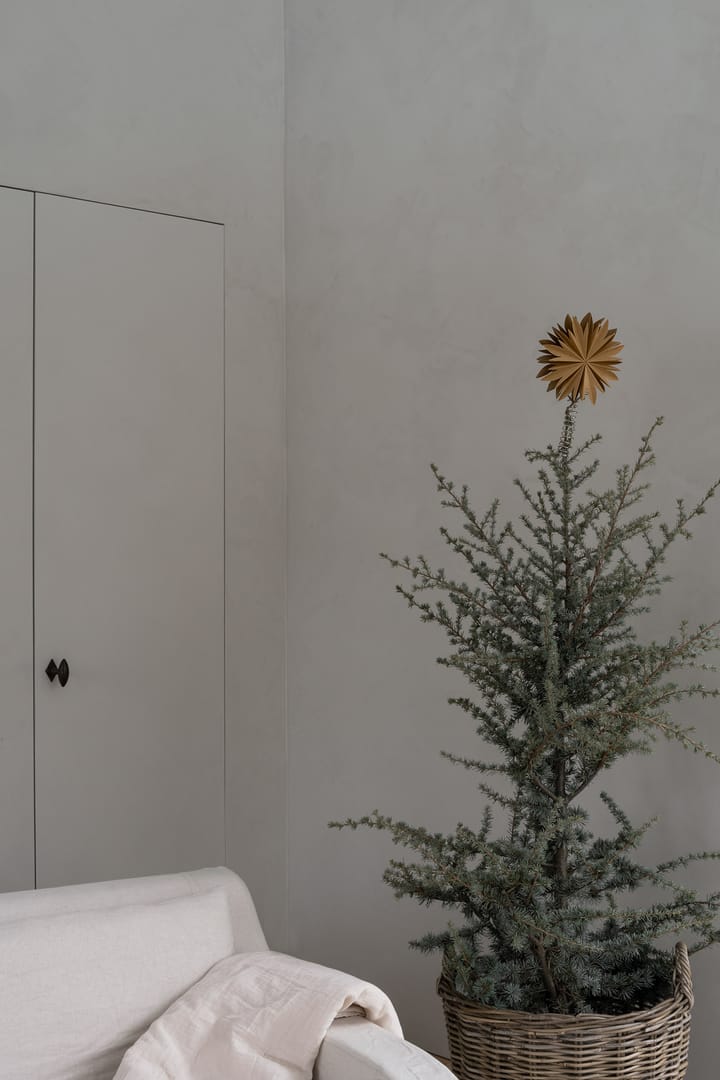 Estrella para copa de árbol Nova Ø20 cm, Dorado Watt & Veke