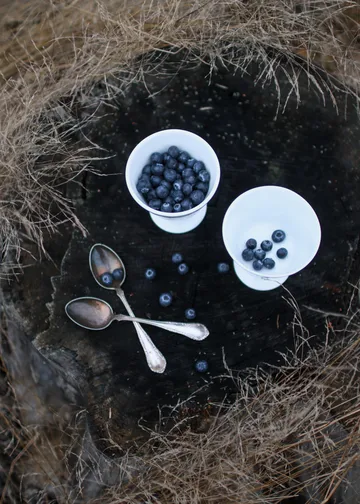 Bol de postre con pie Alv Ø11 cm - plata - Wik & Walsøe