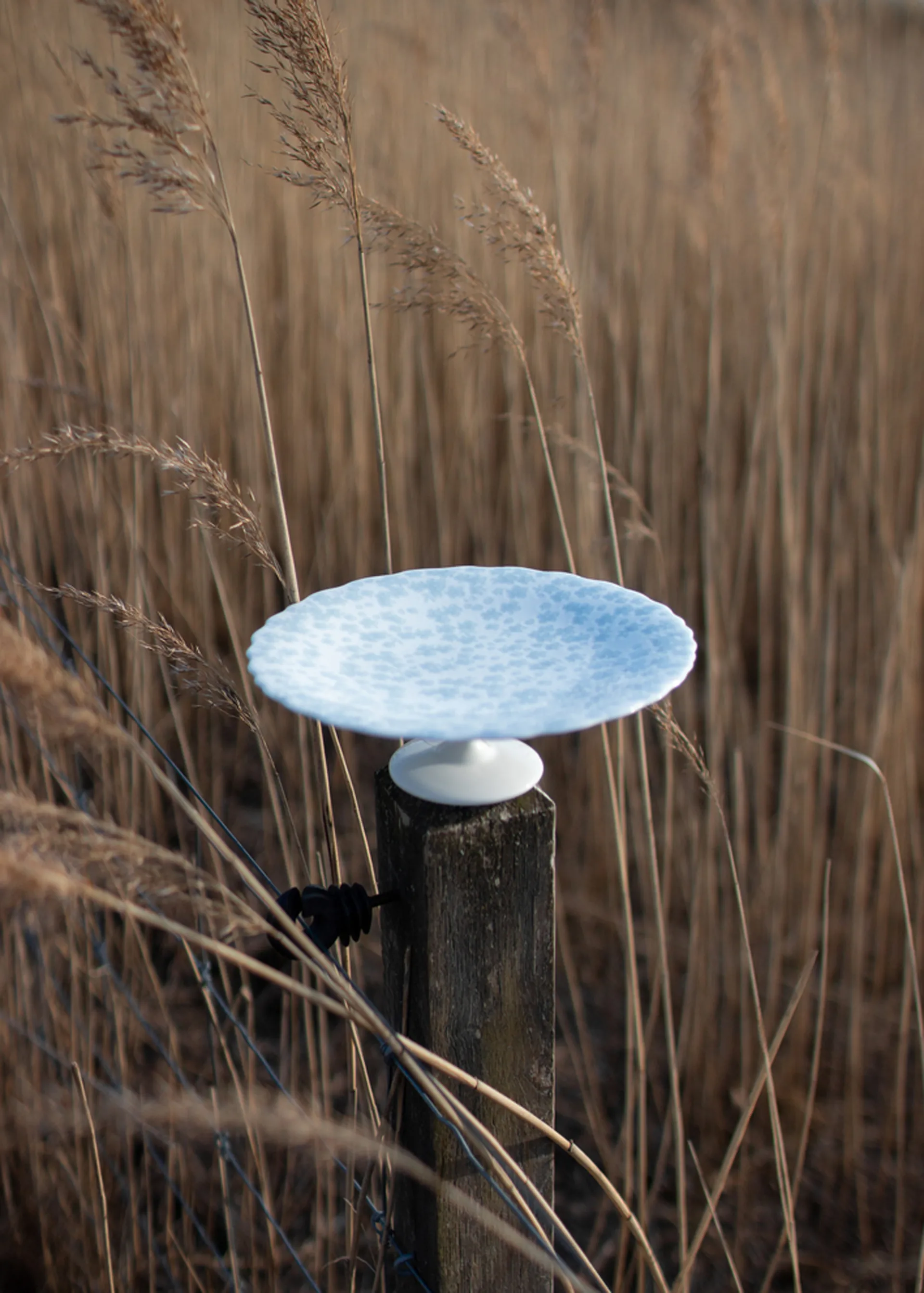 Plato de tarta Slåpeblom Ø21 cm, Azul Wik & Walsøe