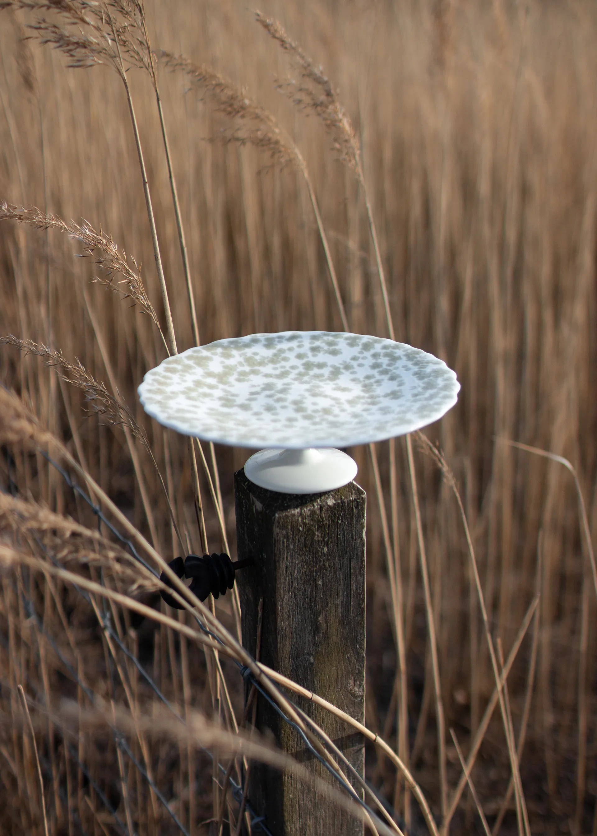 Plato de tarta Slåpeblom Ø21 cm, Verde Wik & Walsøe