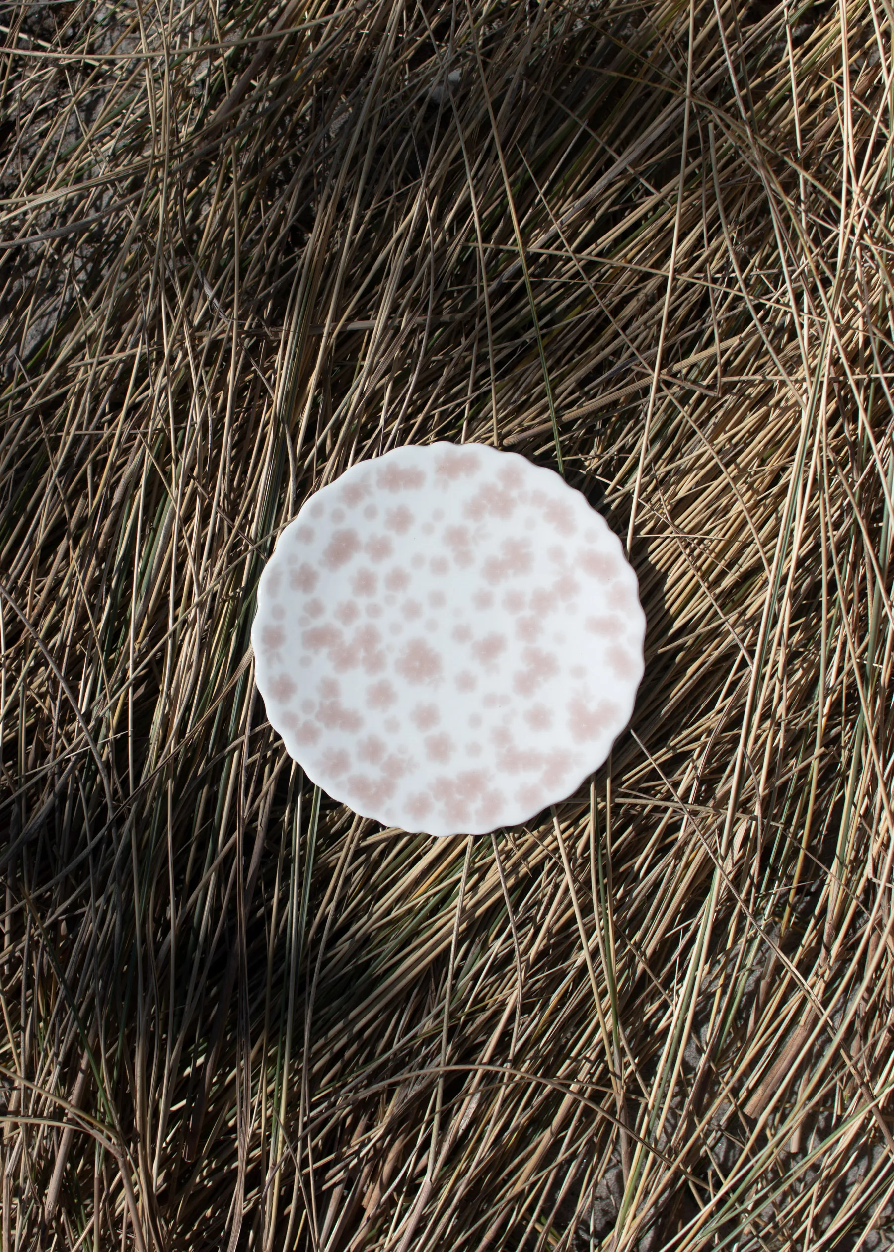 Plato Slåpeblom Ø13 cm, Rosa Wik & Walsøe