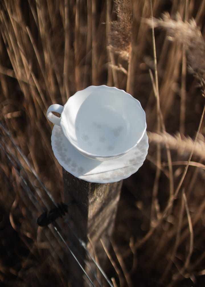 Taza de té y plato Slåpeblom 30 cl, gris Wik & Walsøe