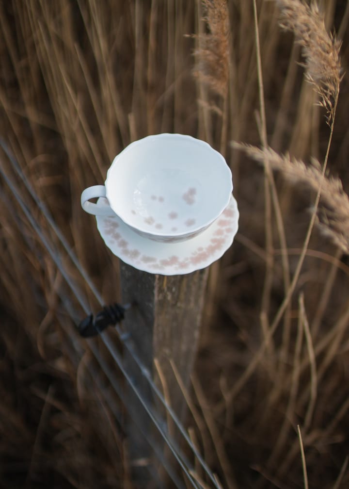 Taza de té y plato Slåpeblom 30 cl - Rosa - Wik & Walsøe