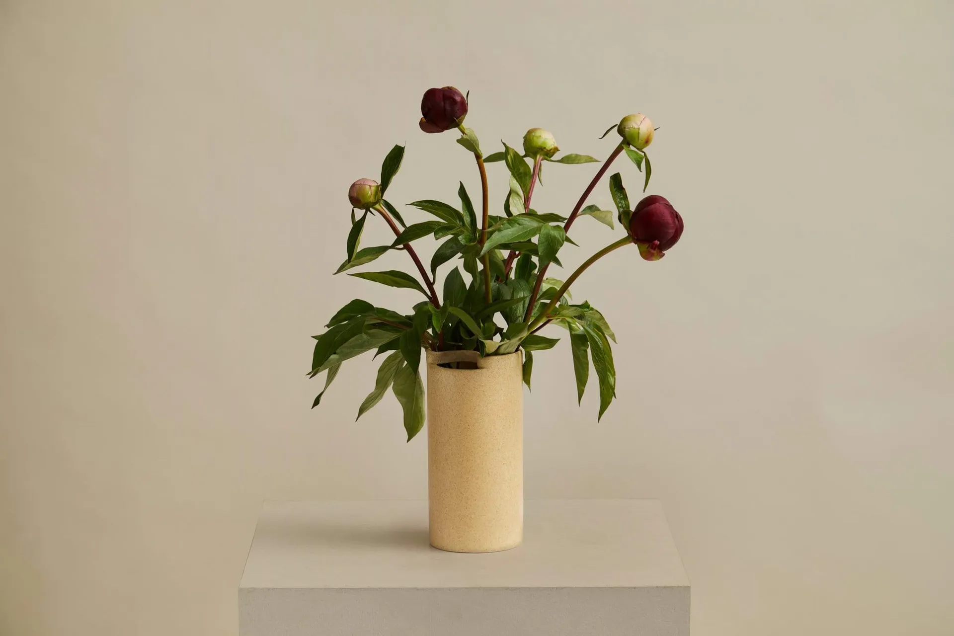 Jarrón Flowr, 21,5 cm Woud