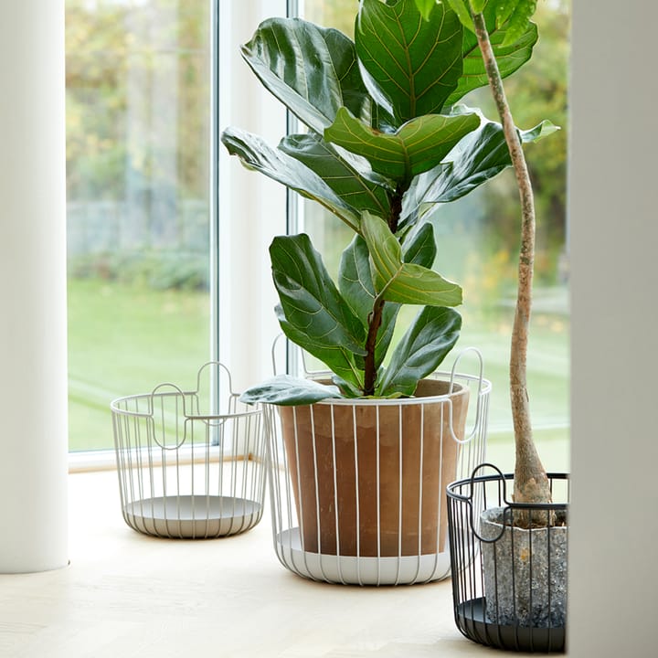 Cesta Zone Inu, Black, large Zone Denmark
