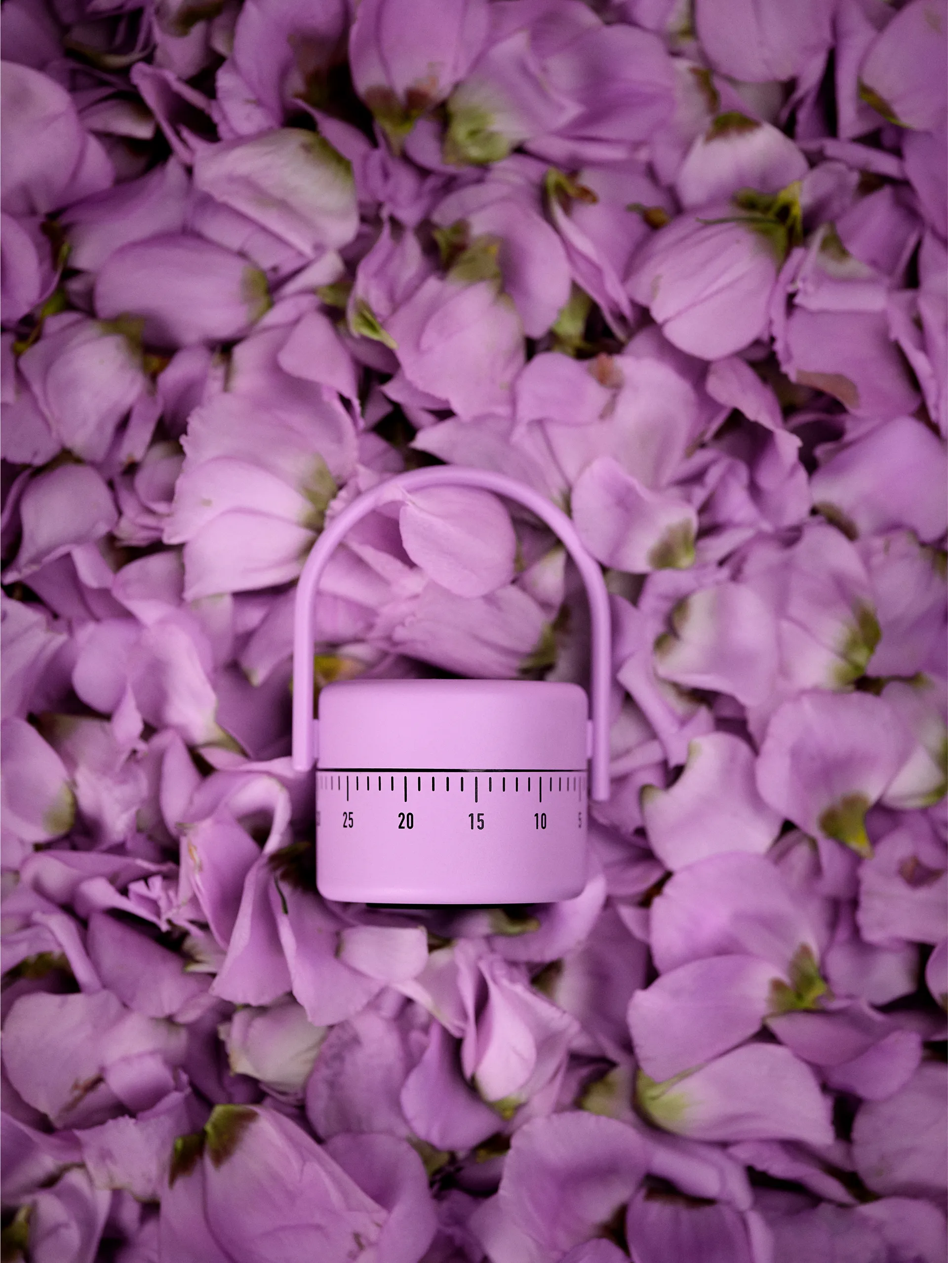 Temporizador para huevos Zone Singles, Lupine Zone Denmark