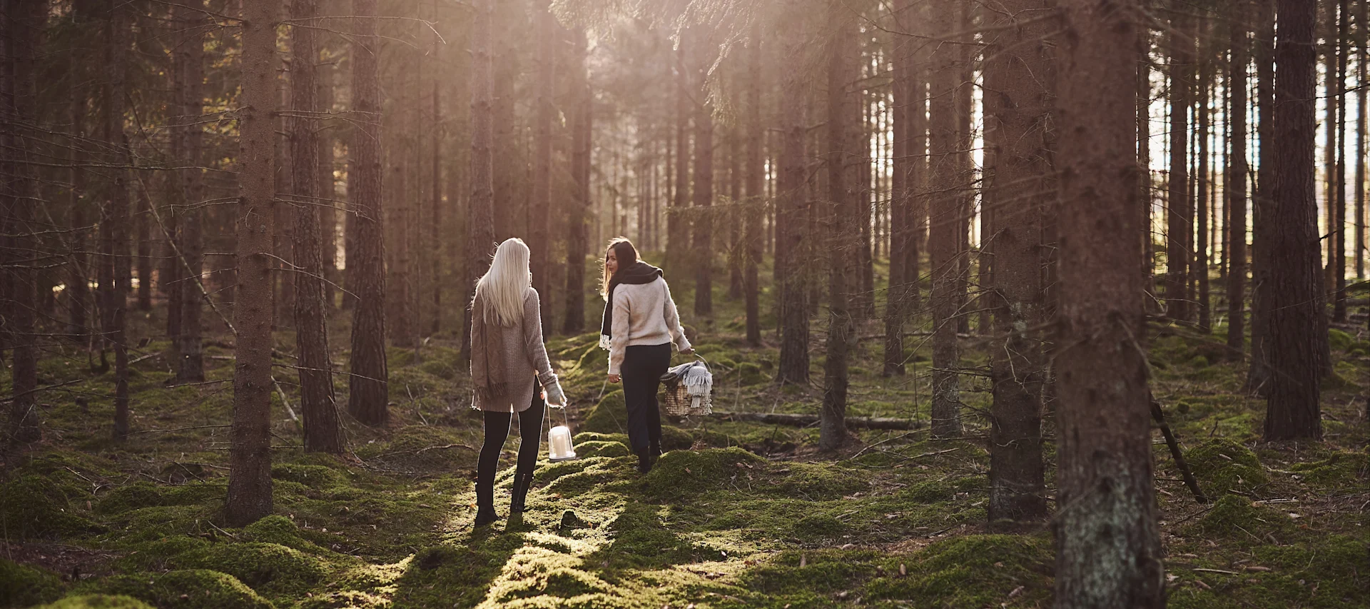 En nuestra lista de tareas de otoño, te damos numerosos consejos sobre qué cosas hacer en otoño, con un toque escandinavo, como dar un paseo por el bosque para recoger setas.