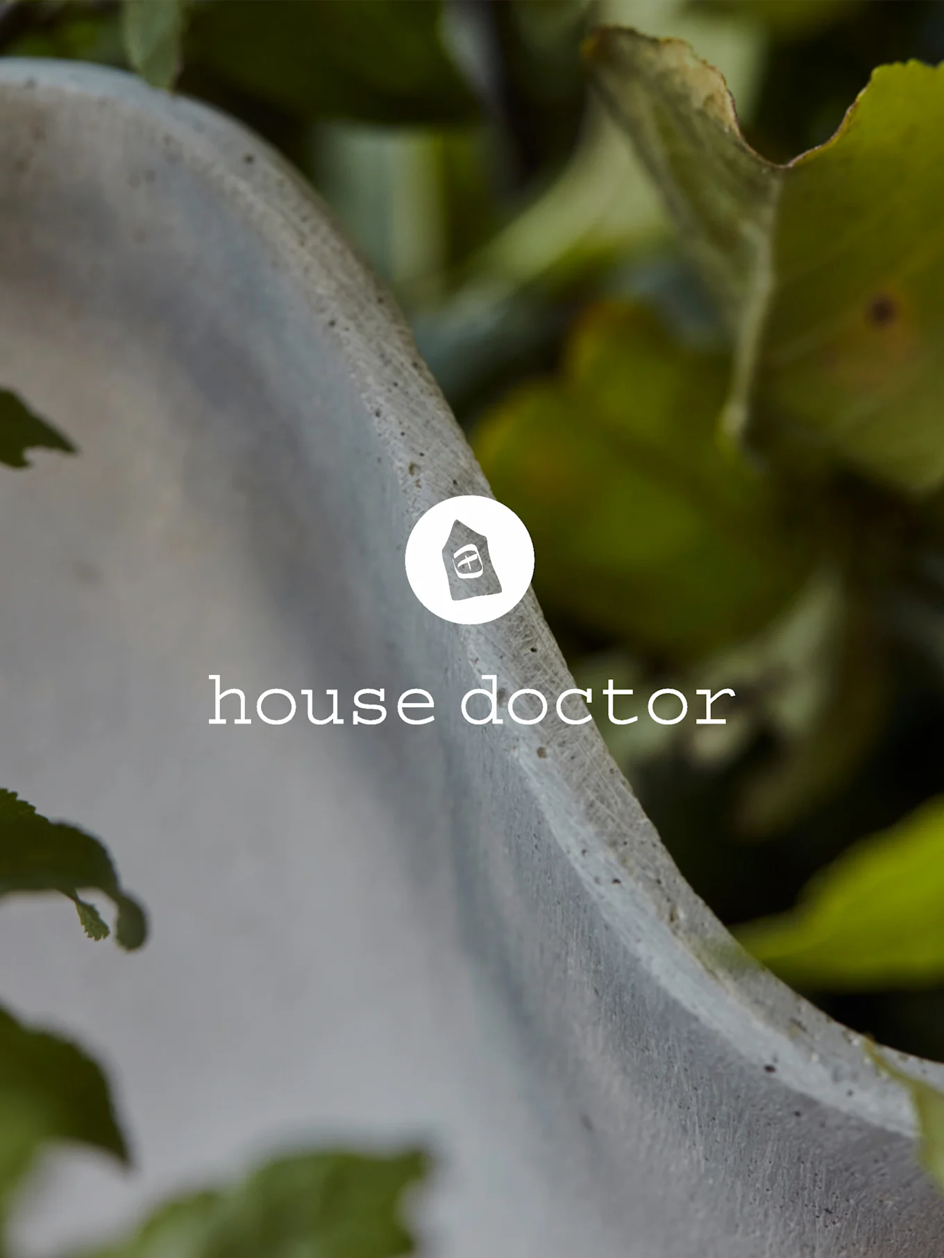 Logotipo y texto de House Doctor en una maceta texturizada de color gris claro con follaje verde de fondo.