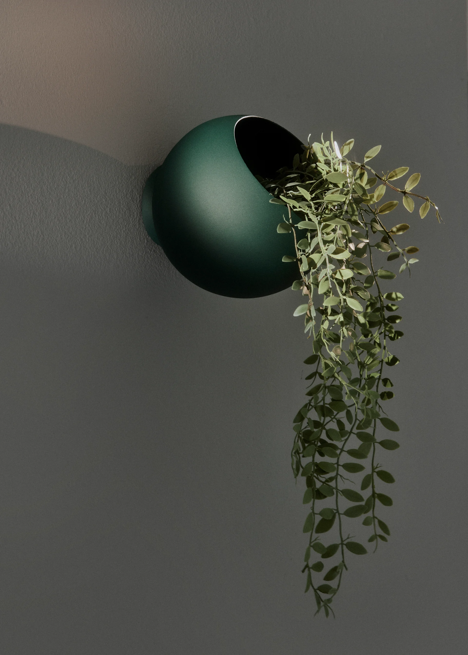 Decora la pared con la maceta verde Globe de AYTM. Cuelga una planta verde de la maceta.