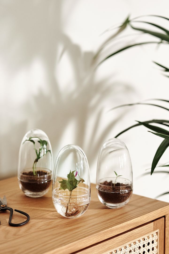 Aquí puedes ver una colección de los invernaderos Grow de Design House Stockholm en pequeño.