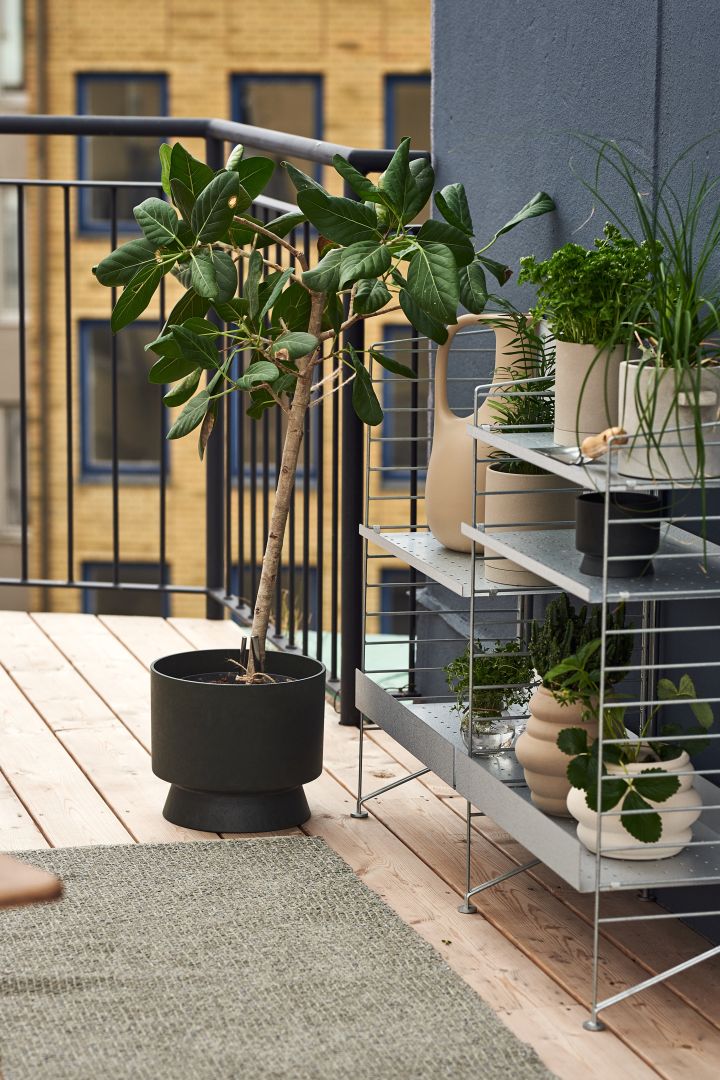 Decora tu balcón con grandes macetas y plantas mediterráneas
