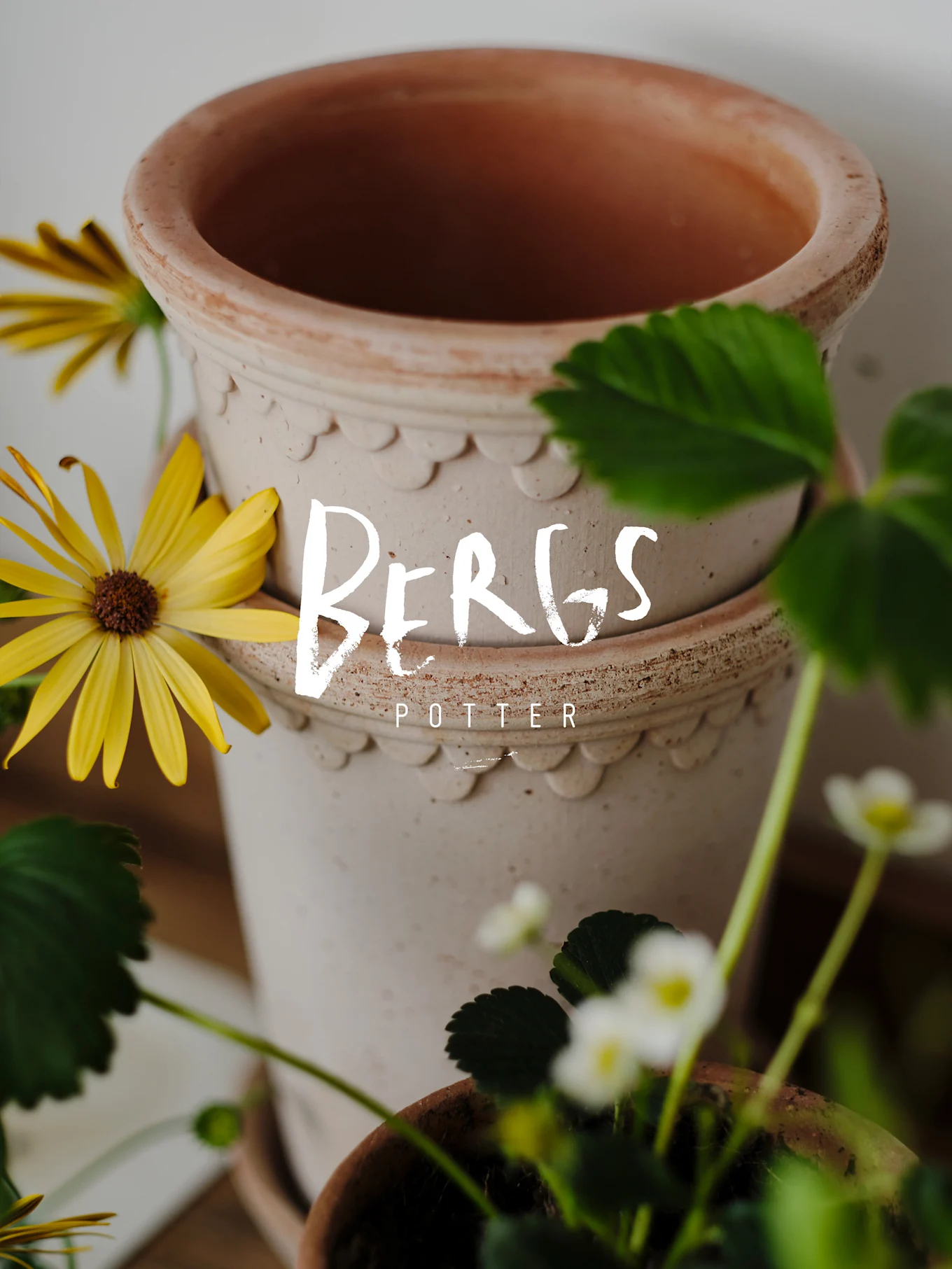 Dos macetas de terracota apiladas, una lisa y otra con borde festoneado, rodeadas de flores amarillas y una planta de fresa. Texto: Bergs Potter.