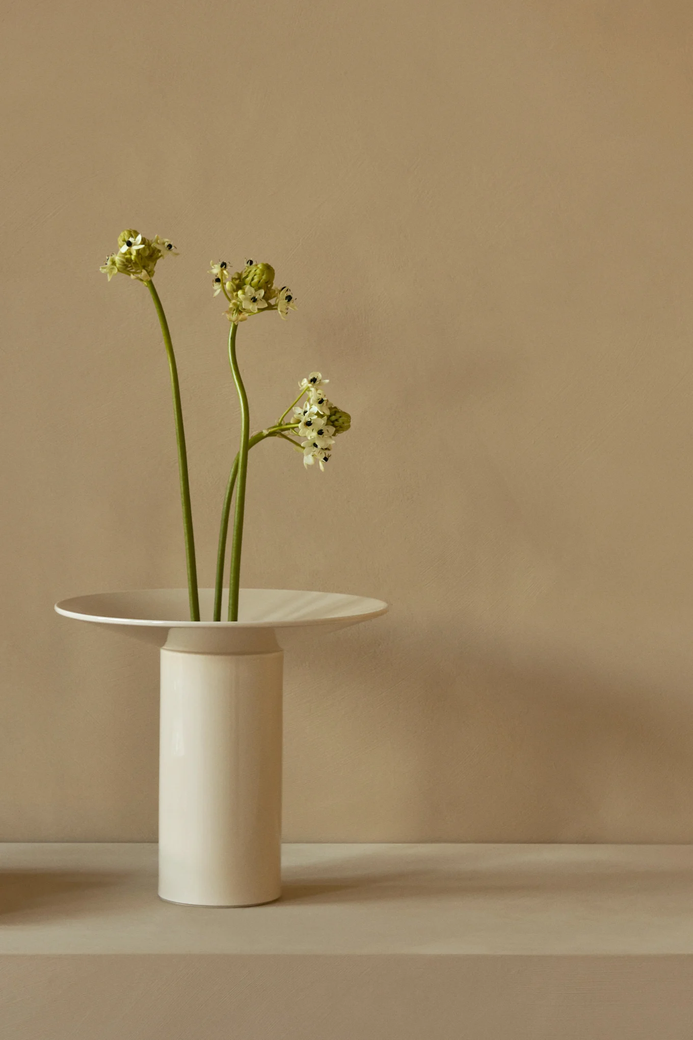 Tres tallos verdes con pequeñas flores blancas en jarrón blanco alto de borde ancho.
