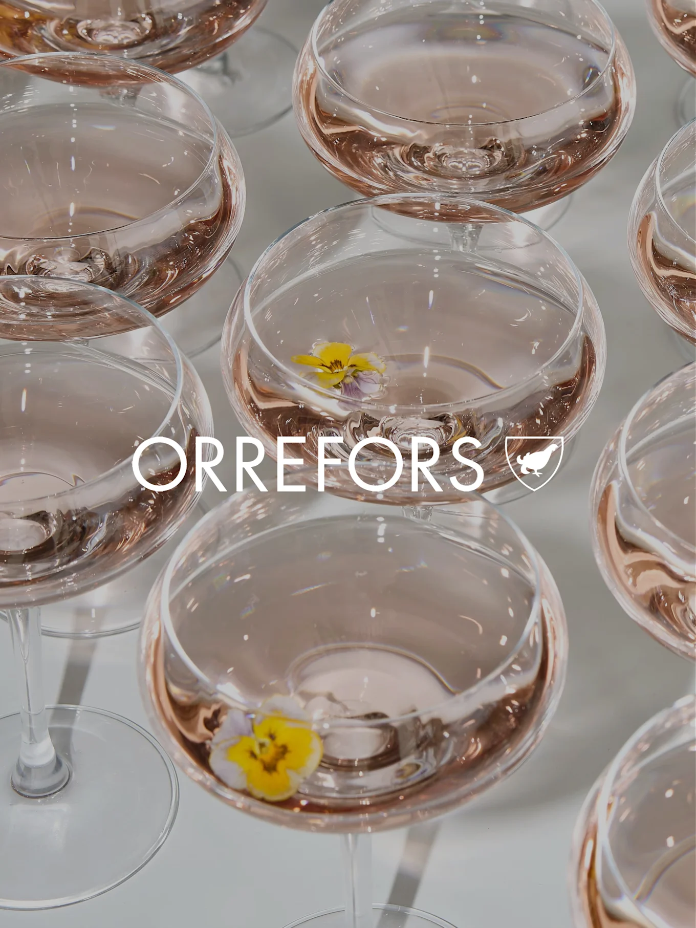 Copas de cristal transparentes con líquido rosa y pensamientos amarillos. Texto y logo 'ORREFORS' superpuestos.