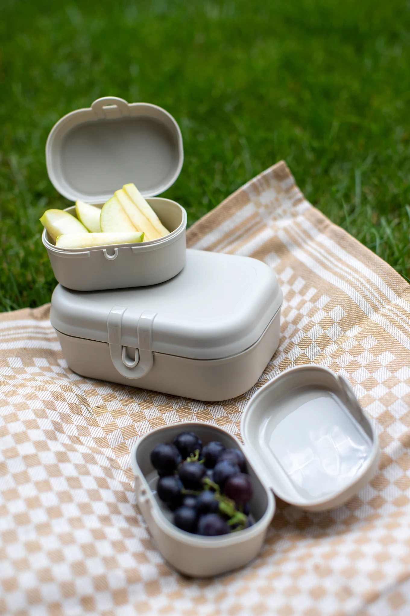 Tres fiambreras beige claro con manzanas y uvas en una manta de picnic a cuadros sobre hierba.