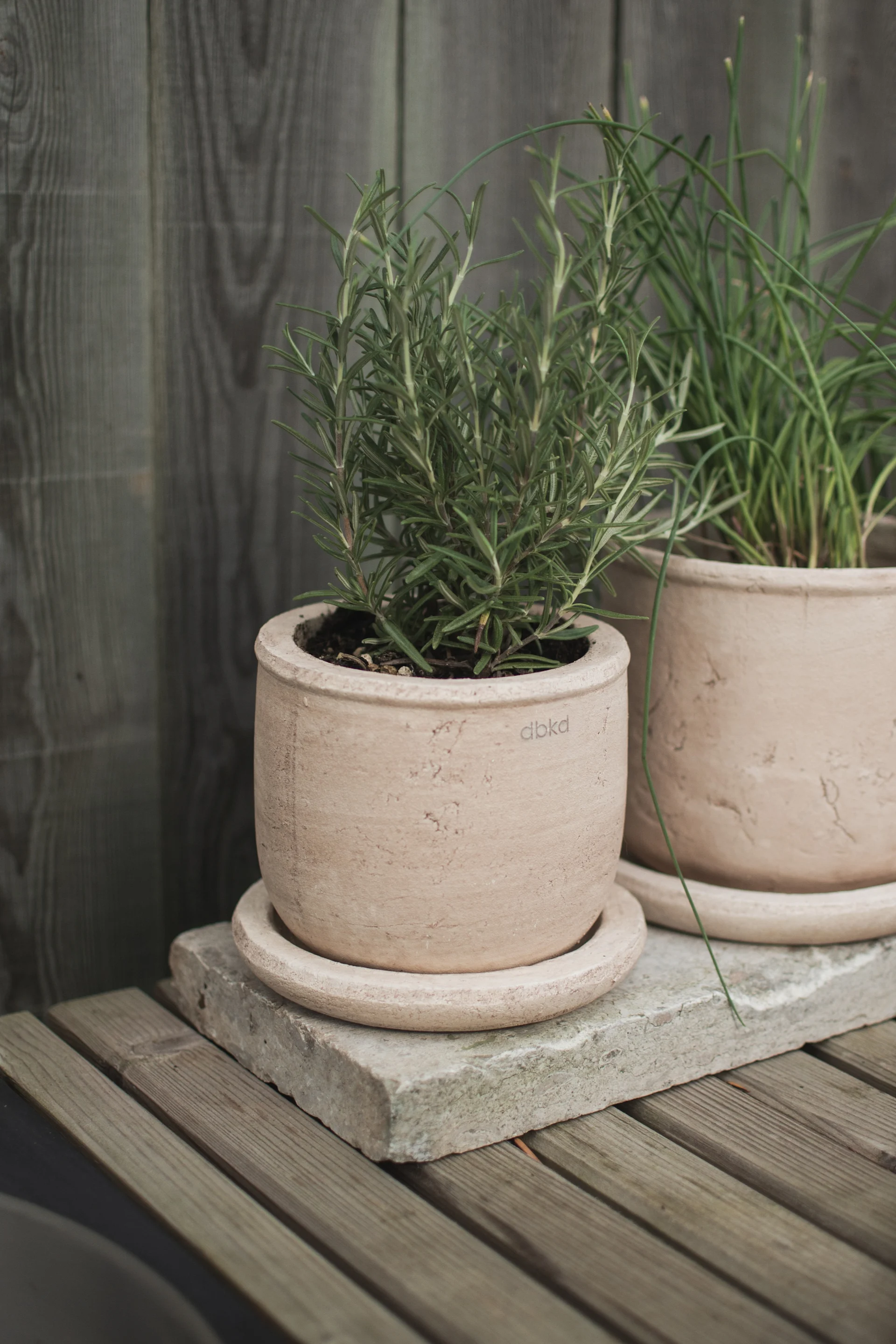 Plantas de romero y cebollino en macetas de terracota texturizadas de color marrón claro sobre una losa de piedra gris y una mesa de madera.