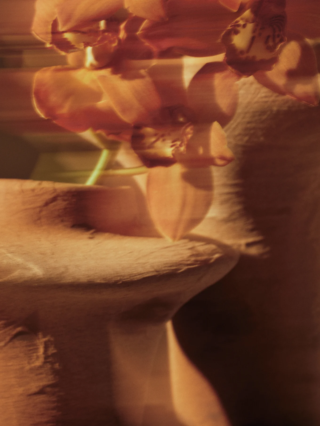 Imagen borrosa de orquídeas rojo anaranjadas con enfoque suave sobre un fondo texturizado.