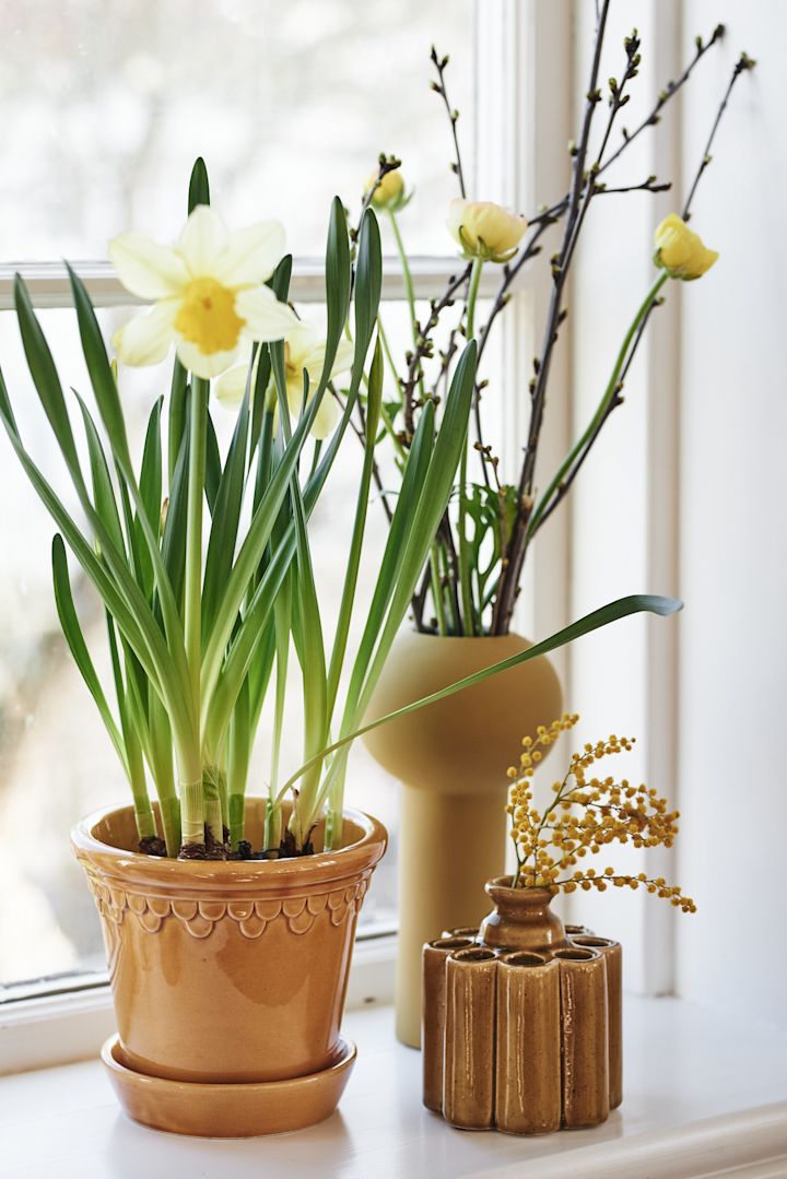 Decoración de Pascua: flores primaverales en el jarrón Pillar de Cooee Design y la maceta amarilla Copenhague de Bergs Potter.