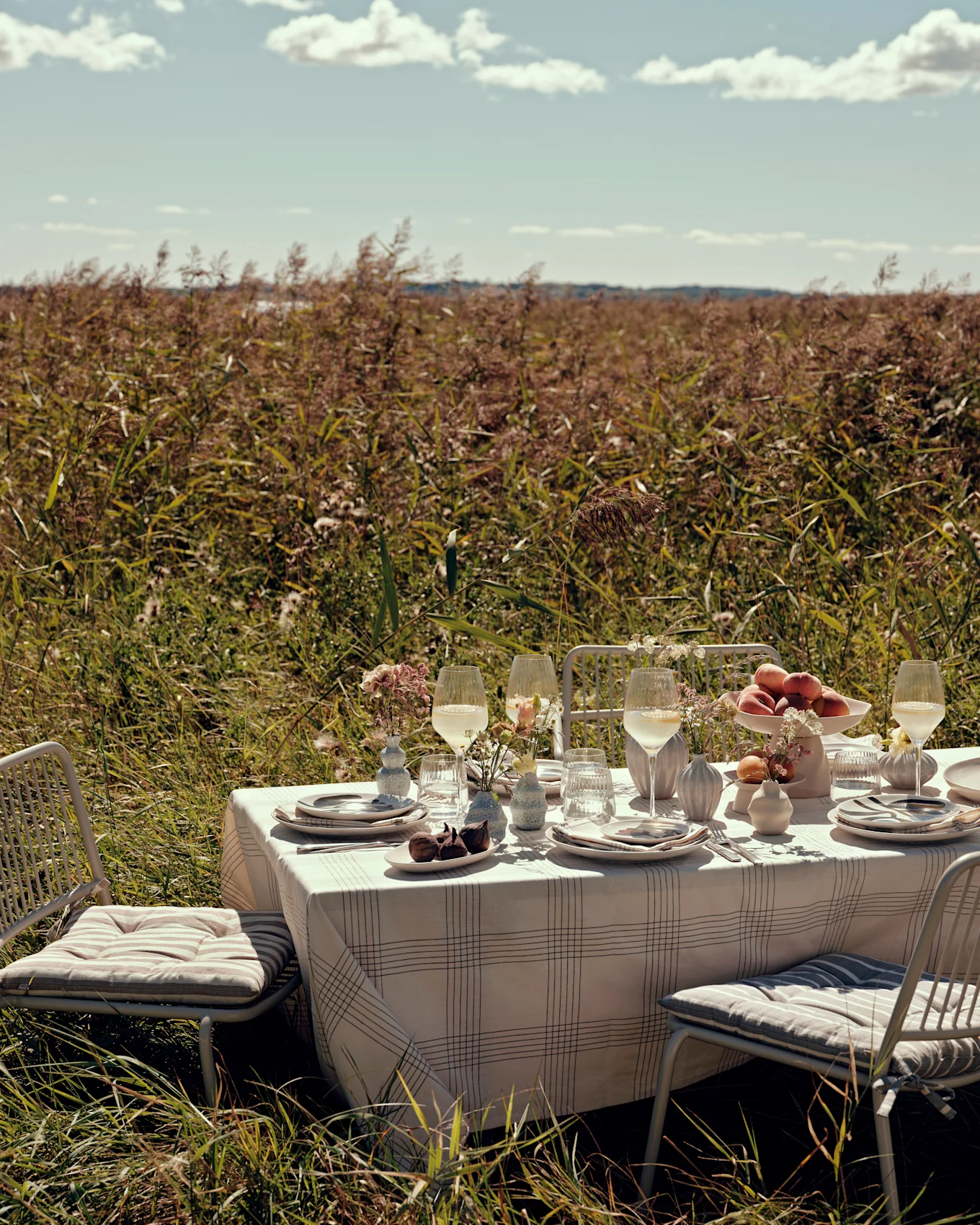 Mesa de comedor al aire libre con sillas blancas, mantel a cuadros, platos, vasos, melocotones e higos, en un campo soleado.