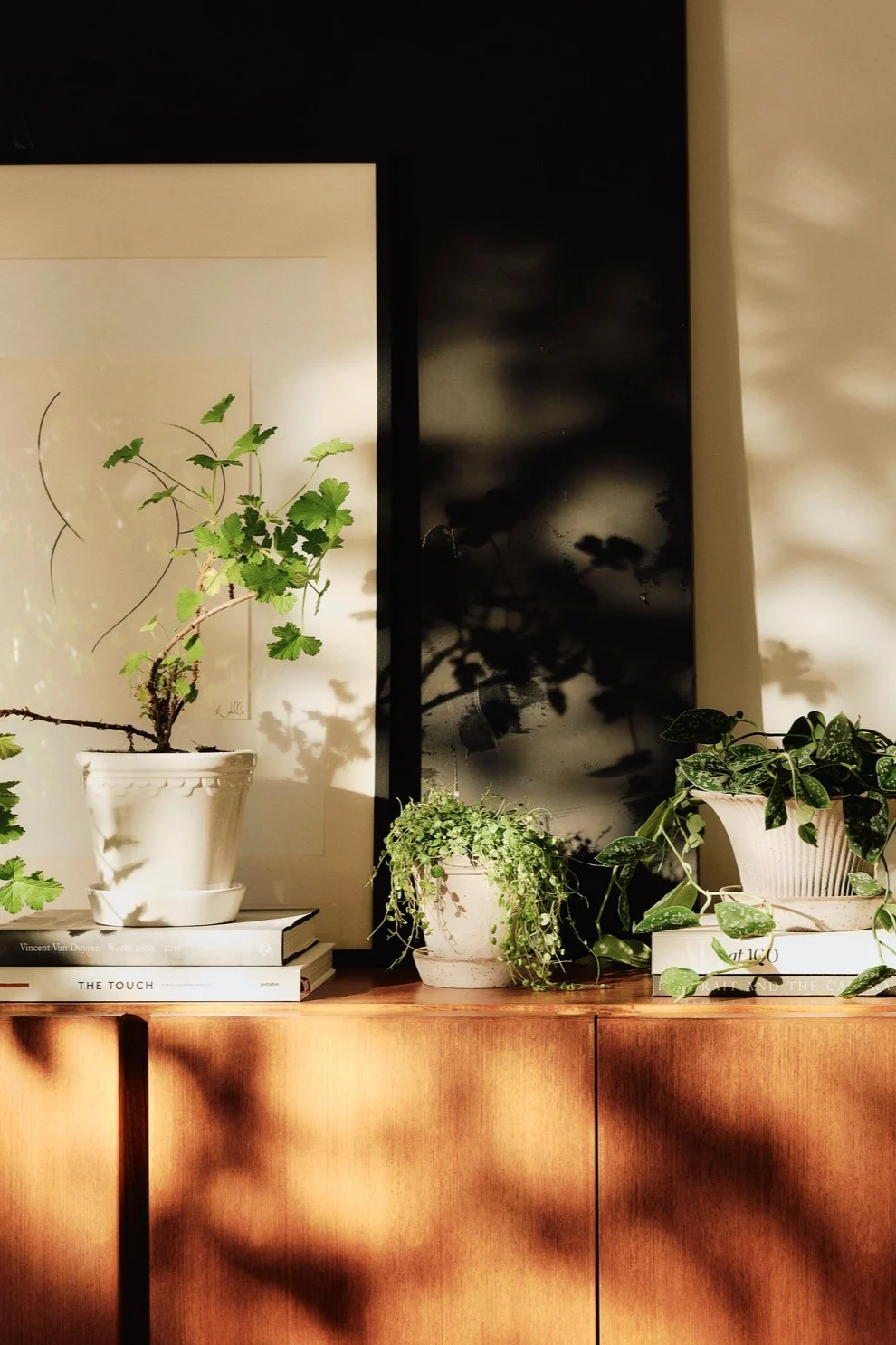 Las plantas completan tu decoración boho, aquí puedes ver varias macetas de Bergs Potter sobre una cómoda.