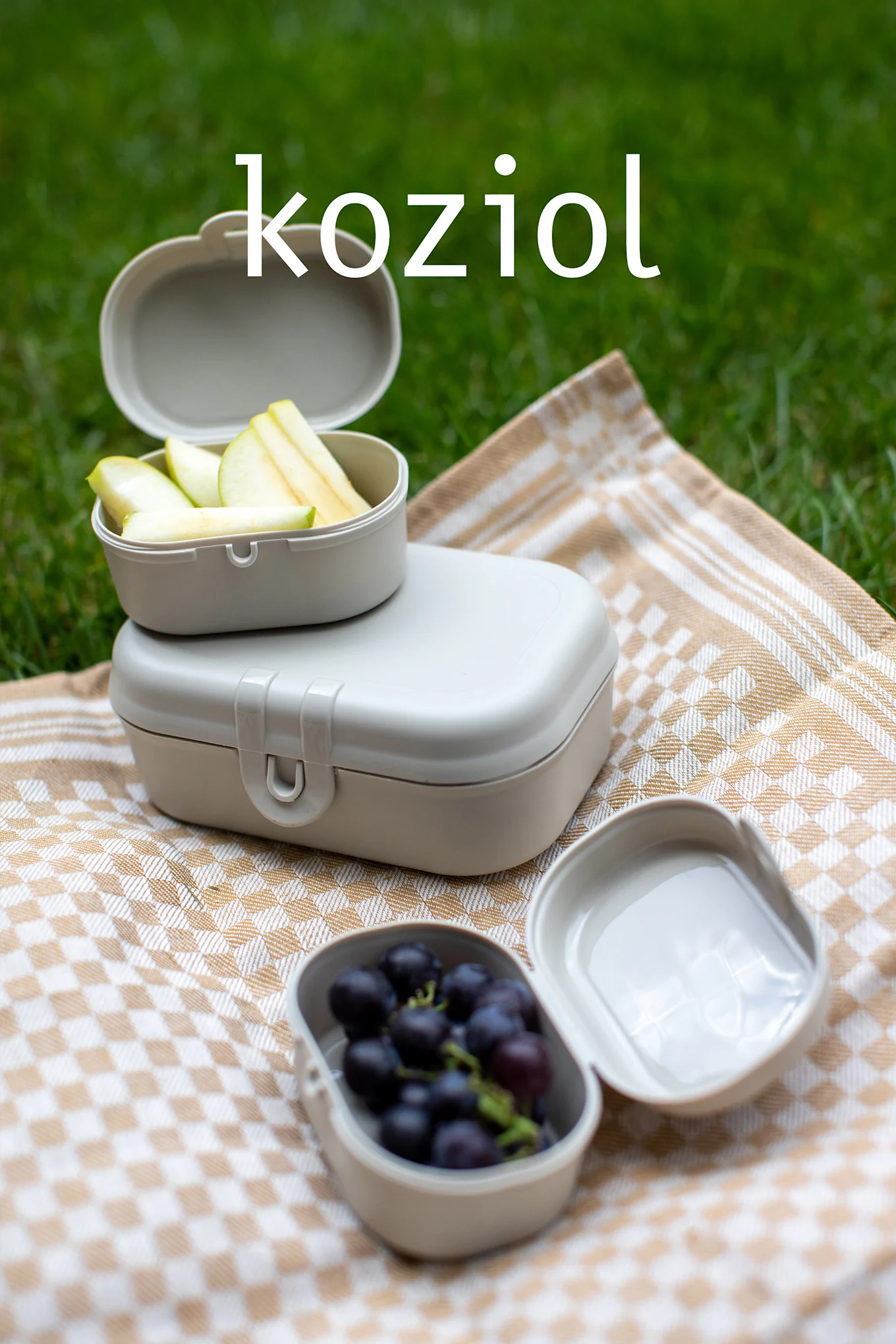 Tres recipientes de comida beige claro sobre una manta a cuadros con manzanas y uvas, en la hierba. Texto: koziol.