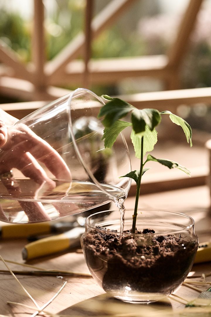 La maceta Grow en tamaño mediano de Design House Stockholm, cuya tapa hace de regadera.