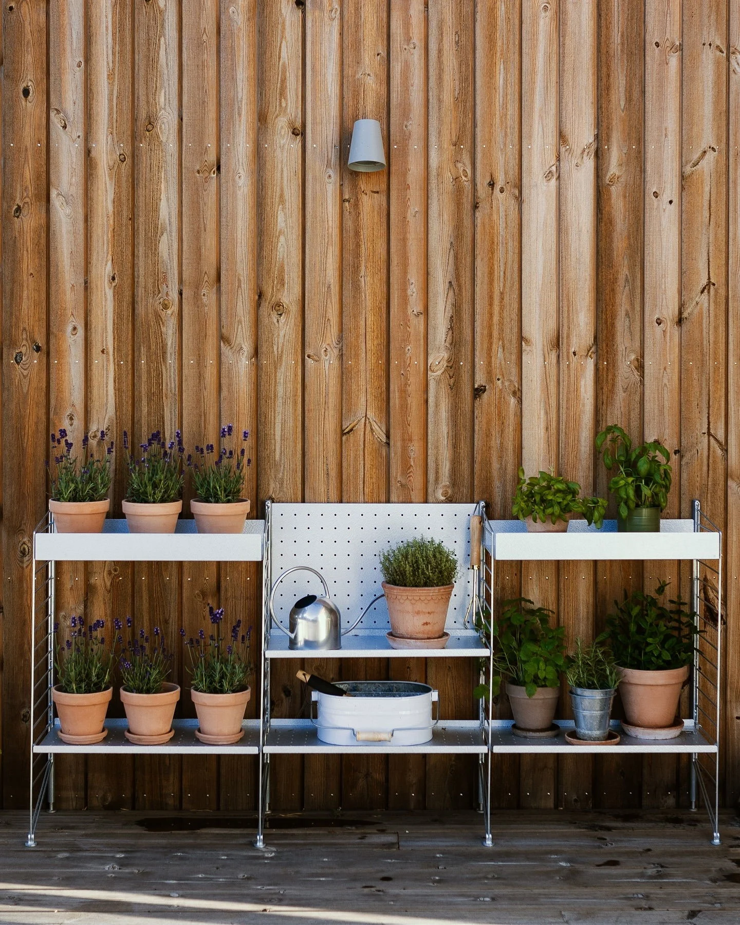 Estantería de metal blanca con lavanda en macetas y varias hierbas en una terraza de madera contra una pared rústica de madera.
