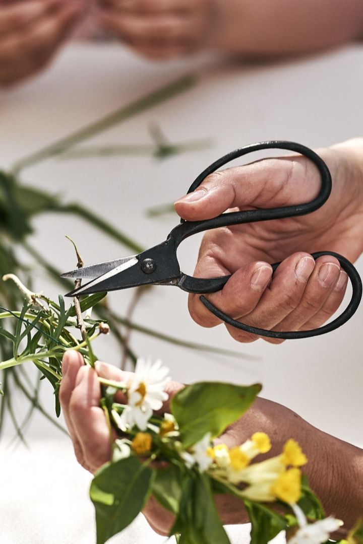 Utiliza tijeras o tijeras de podar para cortar las flores y disfrutar de una auténtica fiesta sueca de verano. 