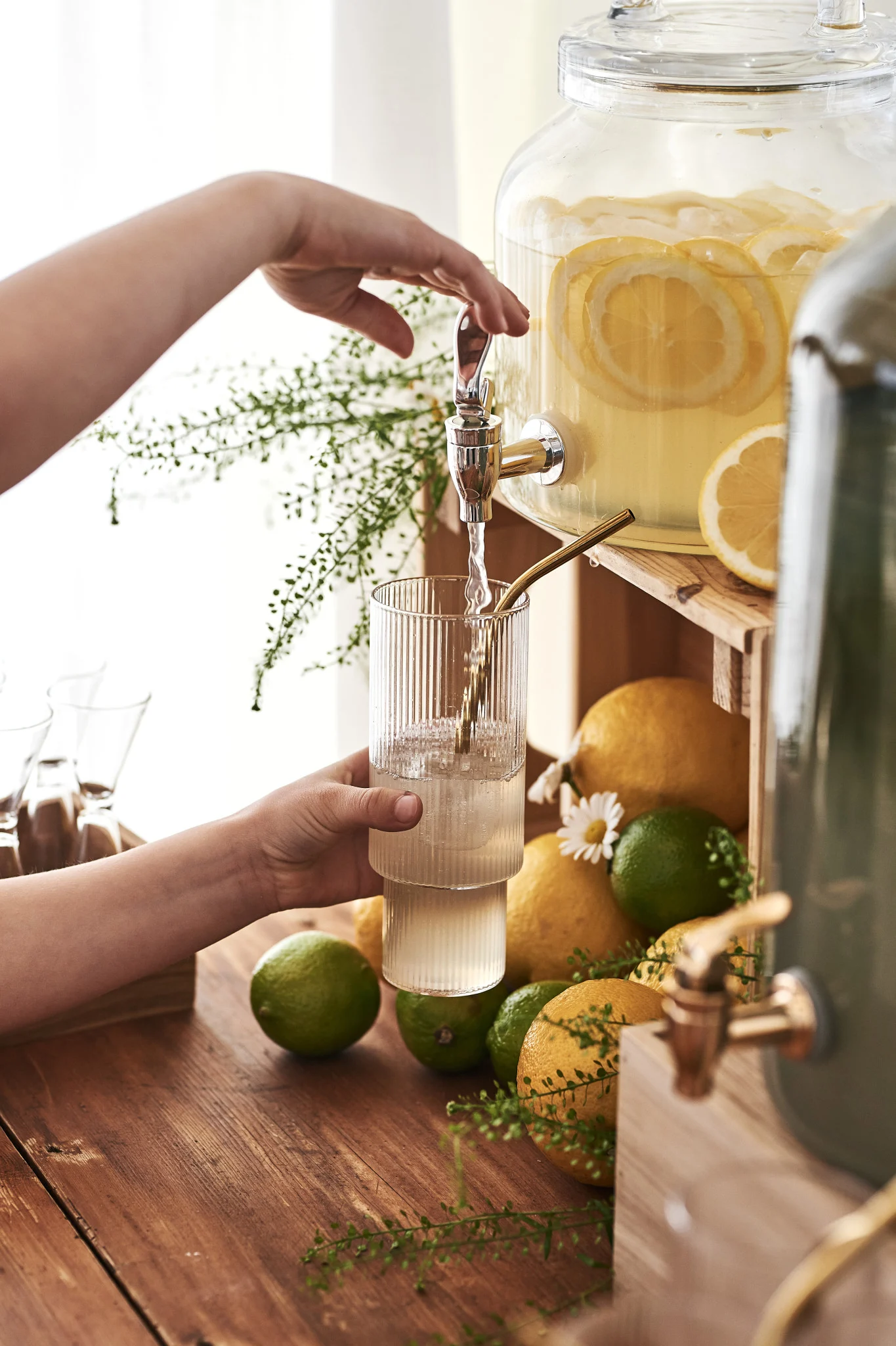 Las bebidas veraniegas con limón y jengibre son especialmente refrescantes. Aquí se llena un vaso desde un recipiente.