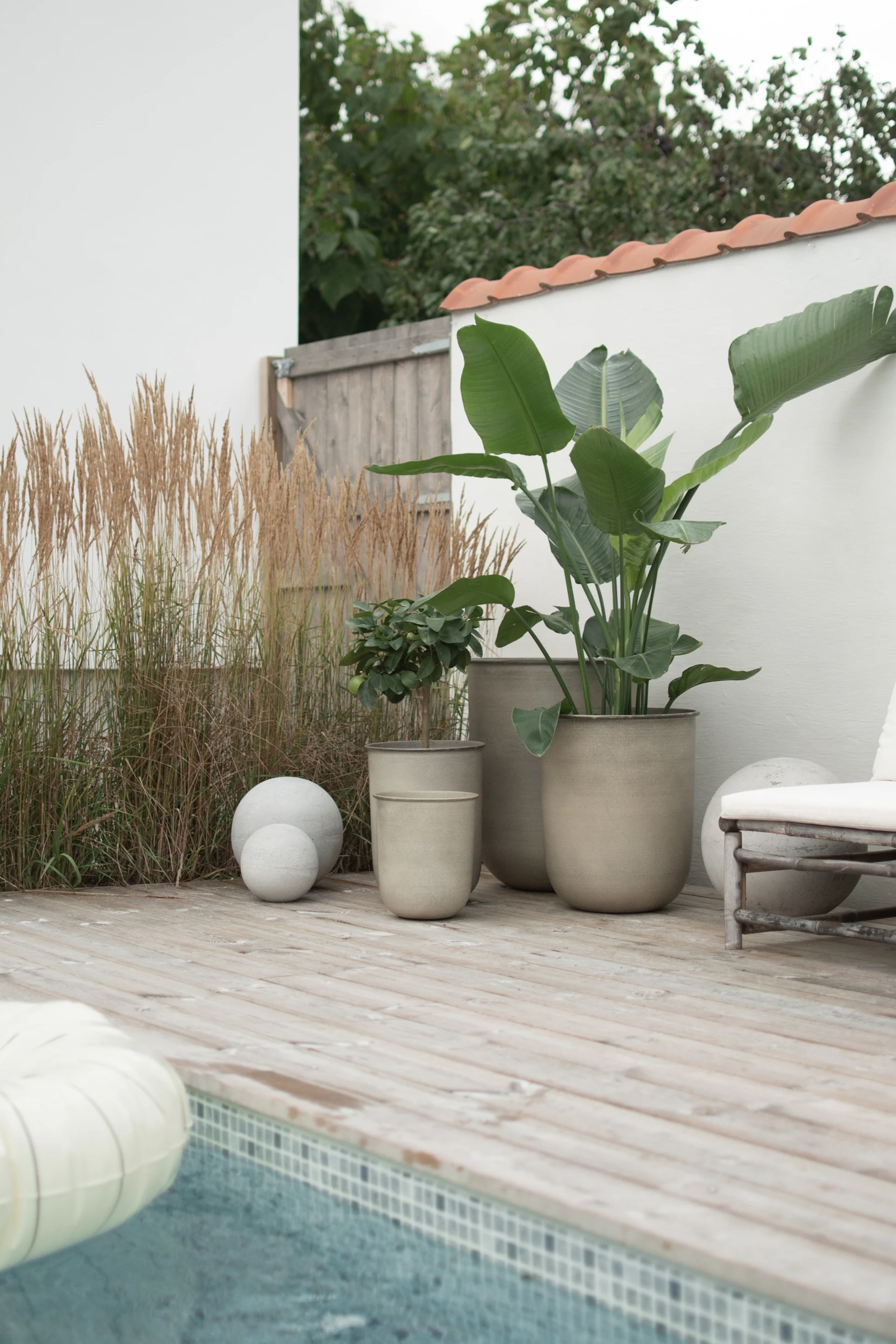 Terraza de madera al aire libre junto a una piscina con grandes macetas, hierbas altas, esferas de hormigón y una tumbona blanca.